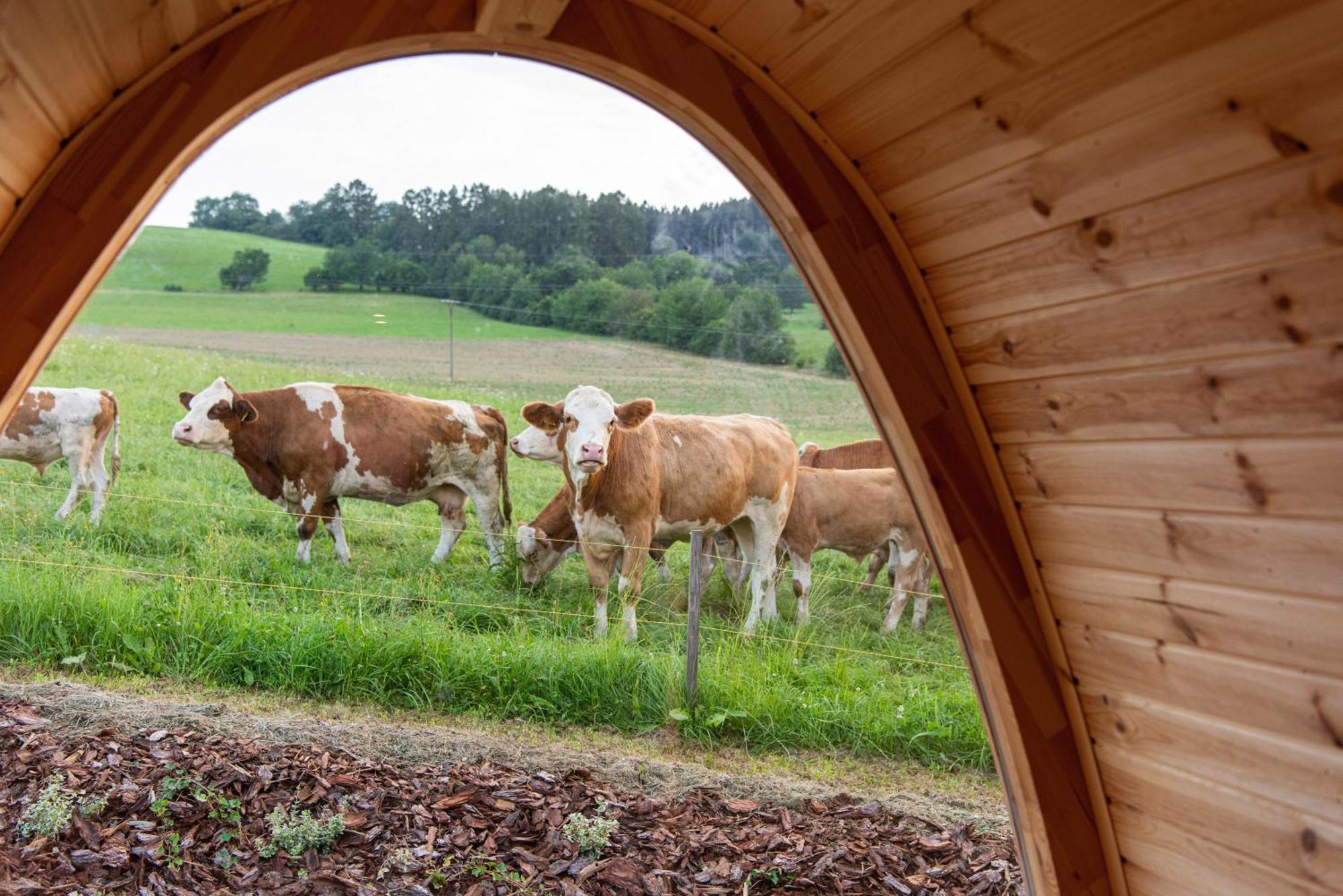 La Boheme Lodges And Glamping Vrhavec المظهر الخارجي الصورة